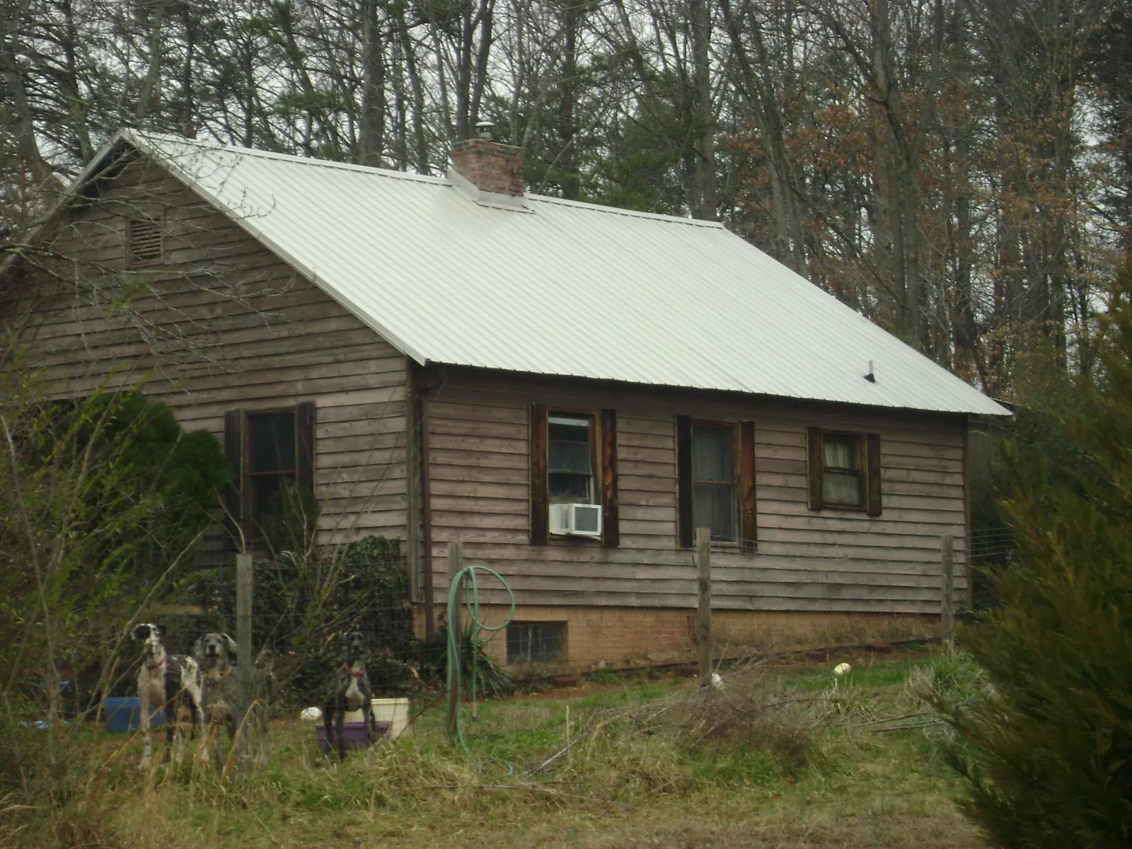 White metal roof on an old wood sided farmhouse, from a Metal Roof Installation job in Hyde Park